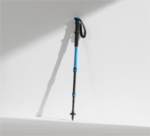 Walking Stick - Image 3
