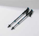 Walking Stick - Image 4