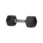 Hex Rubber Dumbbell