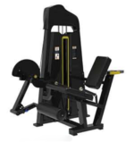 Seated Leg Extension